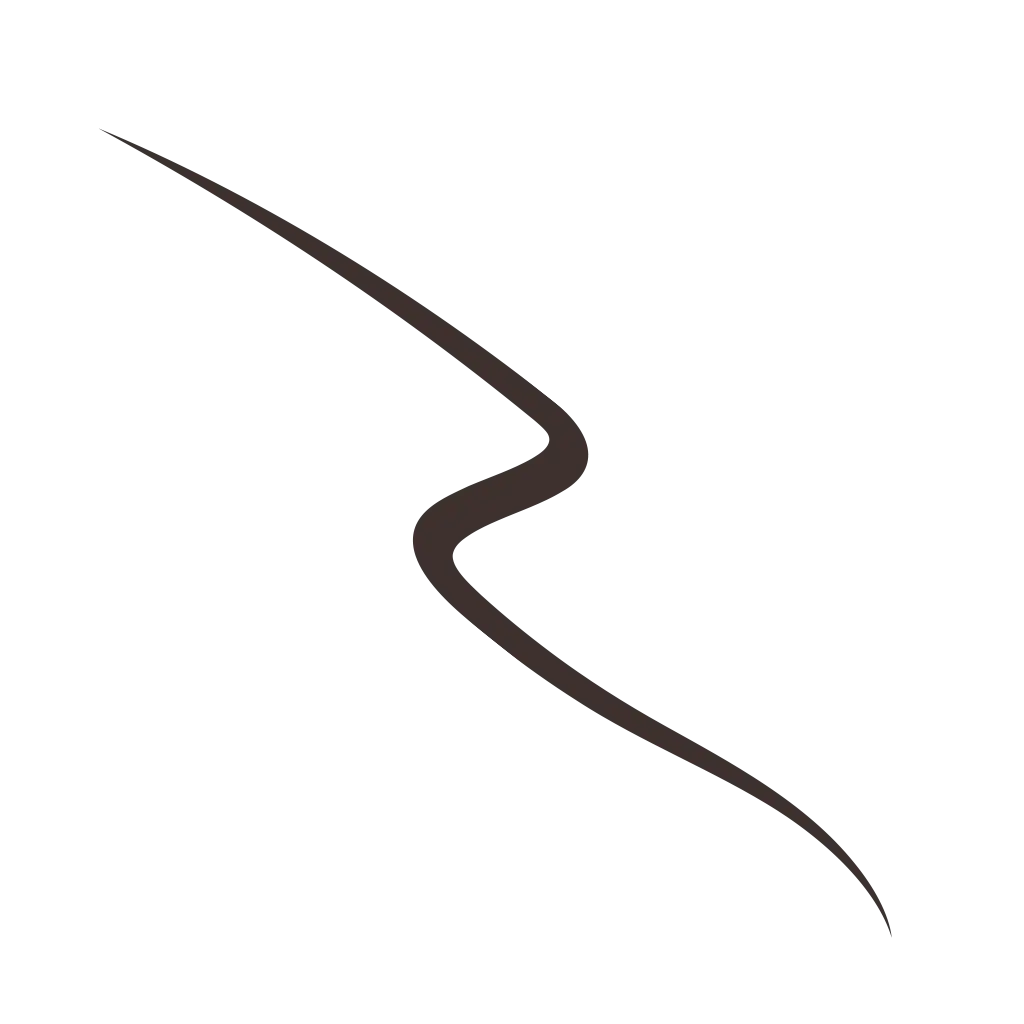 ABSOLUTE LINER eyeliner gel - Brown