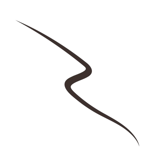 ABSOLUTE LINER eyeliner gel - Brown